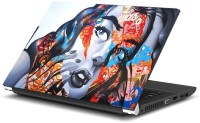 Dadlace Face Make up Vinyl Laptop Decal 14.1   Laptop Accessories  (Dadlace)