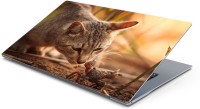 View Lovely Collection Cute little kitten Vinyl Laptop Decal 15.6 Laptop Accessories Price Online(Lovely Collection)