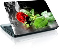 Shopmania Lovely Rose Vinyl Laptop Decal 15.6   Laptop Accessories  (Shopmania)