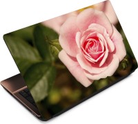 Finest Flower FL51 Vinyl Laptop Decal 15.6   Laptop Accessories  (Finest)