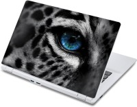ezyPRNT Hypnotizing Blue Eyes Wildlife (13 to 13.9 inch) Vinyl Laptop Decal 13   Laptop Accessories  (ezyPRNT)