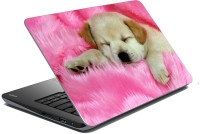 meSleep Dog LS-57-112 Vinyl Laptop Decal 15.6   Laptop Accessories  (meSleep)