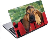 ezyPRNT No Time to Sleep Pet Animal (14 to 14.9 inch) Vinyl Laptop Decal 14   Laptop Accessories  (ezyPRNT)