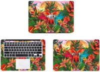 Swagsutra Parrot Colors Vinyl Laptop Decal 11   Laptop Accessories  (Swagsutra)