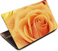View Finest Flower FL25 Vinyl Laptop Decal 15.6 Laptop Accessories Price Online(Finest)
