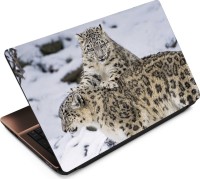 Anweshas Leopard LP024 Vinyl Laptop Decal 15.6   Laptop Accessories  (Anweshas)