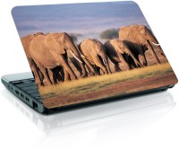 Shopmania Elephant Vinyl Laptop Decal 15.6   Laptop Accessories  (Shopmania)