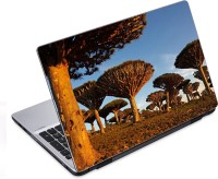 ezyPRNT Dragon Tree Nature (14 to 14.9 inch) Vinyl Laptop Decal 14   Laptop Accessories  (ezyPRNT)
