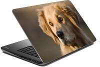 meSleep Dog 70-698 Vinyl Laptop Decal 15.6   Laptop Accessories  (meSleep)