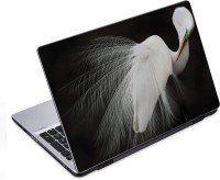 ezyPRNT Amazing White Bird (14 to 14.9 inch) Vinyl Laptop Decal 14   Laptop Accessories  (ezyPRNT)