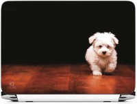 FineArts Cute Dog on Floor Vinyl Laptop Decal 15.6   Laptop Accessories  (FineArts)