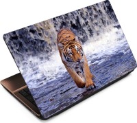 Anweshas Tiger T015 Vinyl Laptop Decal 15.6   Laptop Accessories  (Anweshas)