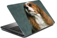 meSleep Dog LS-57-039 Vinyl Laptop Decal 15.6   Laptop Accessories  (meSleep)