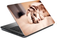 meSleep Cat 70-576 Vinyl Laptop Decal 15.6   Laptop Accessories  (meSleep)