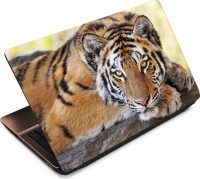 Anweshas Tiger T029 Vinyl Laptop Decal 15.6   Laptop Accessories  (Anweshas)