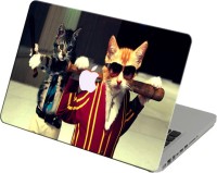Theskinmantra Macho Cat Vinyl Laptop Decal 11   Laptop Accessories  (Theskinmantra)