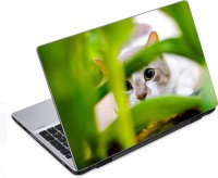 ezyPRNT White Cat (14 to 14.9 inch) Vinyl Laptop Decal 14   Laptop Accessories  (ezyPRNT)