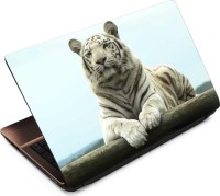 Anweshas Tiger T072 Vinyl Laptop Decal 15.6   Laptop Accessories  (Anweshas)