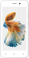 Zen Admire Thrill (White & Champagne, 8 GB)(1 GB RAM)