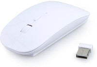 Terabyte ST98 Wireless Optical Mouse(Bluetooth, White)   Laptop Accessories  (Terabyte)