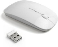 Terabyte TB-MW-023 Wireless Optical Mouse(USB, White)   Laptop Accessories  (Terabyte)