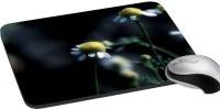 meSleep Floral PD-34-388 Mousepad(Multicolor)   Laptop Accessories  (meSleep)