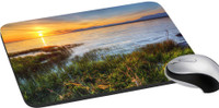 meSleep Nature PD-38-349 Mousepad(Multicolor)   Laptop Accessories  (meSleep)