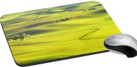 meSleep Nature PD-38-277 Mousepad(Multicolor)   Laptop Accessories  (meSleep)