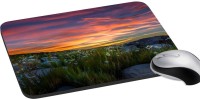 meSleep Nature PD-43-181 Mousepad(Multicolor)   Laptop Accessories  (meSleep)