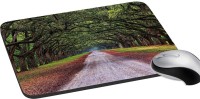 meSleep Nature PD-43-171 Mousepad(Multicolor)   Laptop Accessories  (meSleep)