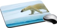 meSleep Wild Life PD-47-253 Mousepad(Multicolor)   Laptop Accessories  (meSleep)