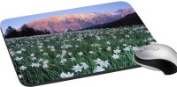 meSleep Nature PD-38-066 Mousepad(Multicolor)   Laptop Accessories  (meSleep)