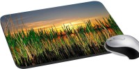 meSleep Nature PD-36-243 Mousepad(Multicolor)   Laptop Accessories  (meSleep)