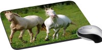 meSleep Wild Life PD-48-218 Mousepad(Multicolor)   Laptop Accessories  (meSleep)