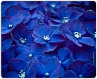Lovely Collection Beautiful Blue Flowers Mousepad(Multicolor)   Laptop Accessories  (Lovely Collection)