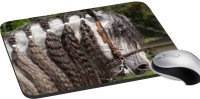 meSleep Wild Life PD-48-179 Mousepad(Multicolor)   Laptop Accessories  (meSleep)