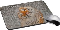 meSleep Wild Life PD-49-382 Mousepad(Multicolor)   Laptop Accessories  (meSleep)