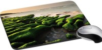 meSleep Nature PD-39-224 Mousepad(Multicolor)   Laptop Accessories  (meSleep)