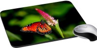 View meSleep Nature PD-33-341 Mousepad(Multicolor) Laptop Accessories Price Online(meSleep)