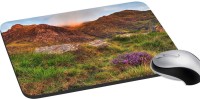 meSleep Nature PD-33-073 Mousepad(Multicolor)   Laptop Accessories  (meSleep)