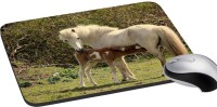 meSleep Wild Life PD-48-228 Mousepad(Multicolor)   Laptop Accessories  (meSleep)