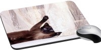 meSleep Wild Life PD-47-294 Mousepad(Multicolor)   Laptop Accessories  (meSleep)