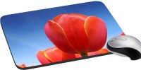 meSleep Nature PD-33-016 Mousepad(Multicolor)   Laptop Accessories  (meSleep)