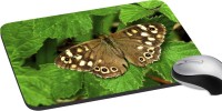 meSleep Butterfly PD-23-69 Mousepad(Multicolor)   Laptop Accessories  (meSleep)