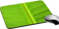 meSleep Nature PD-46-335 Mousepad(Multicolor)   Laptop Accessories  (meSleep)