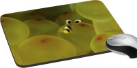 meSleep Animated Fish PD-21-081 Mousepad(Multicolor)   Laptop Accessories  (meSleep)