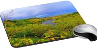 meSleep Nature PD-34-278 Mousepad(Multicolor)   Laptop Accessories  (meSleep)