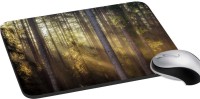 meSleep Nature PD-39-057 Mousepad(Multicolor)   Laptop Accessories  (meSleep)