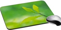 meSleep Nature PD-46-330 Mousepad(Multicolor)   Laptop Accessories  (meSleep)