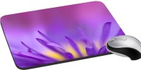 meSleep Floral PD-34-387 Mousepad(Multicolor)   Laptop Accessories  (meSleep)